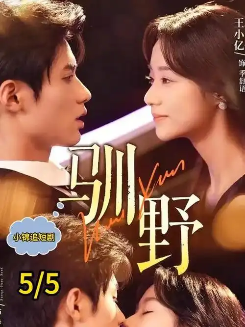 一封未寄出的简历 剧集海报